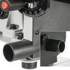 Ponceuse combinée à bande 1" / 2" et disque 8" 50-110 S1
